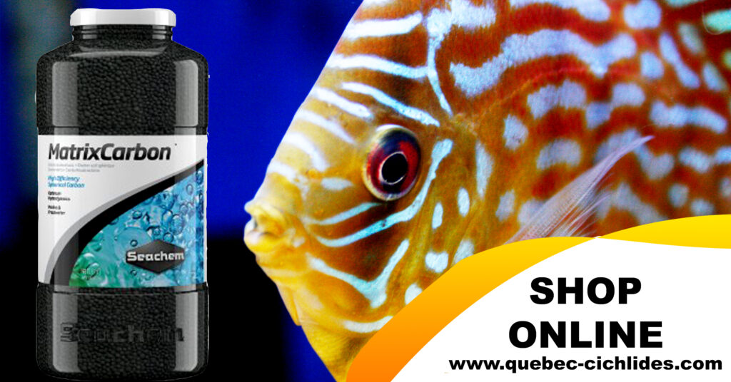 Should you use activated carbon in your aquarium? - Québec Cichlidés